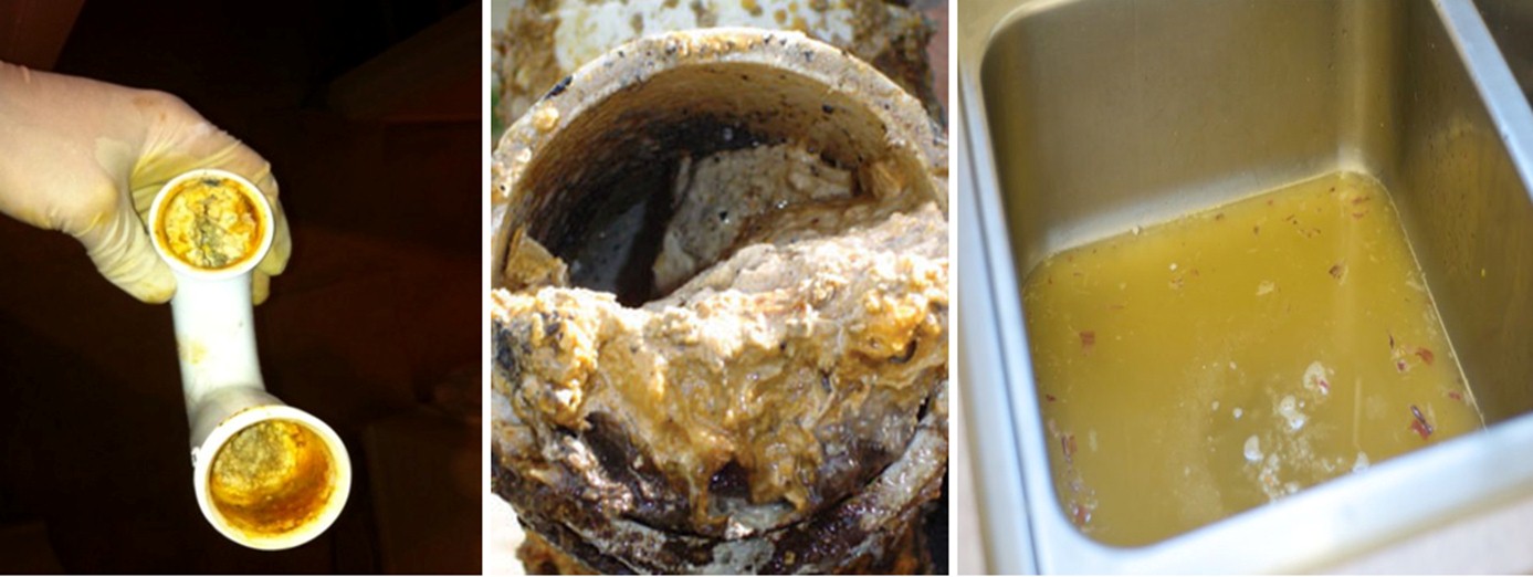 Giải pháp xử lý bẫy mỡ trong nước thải nhà hàng - khách sạn